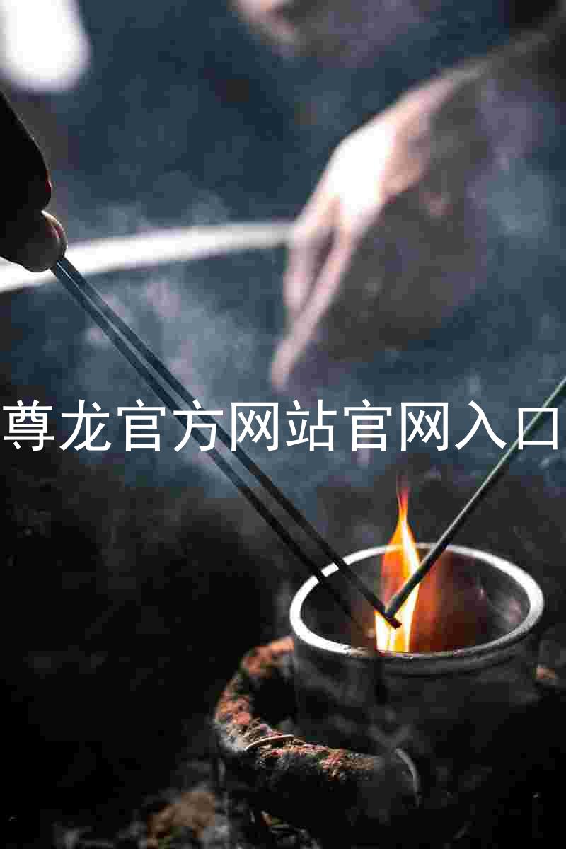 尊龙官方网站官网入口