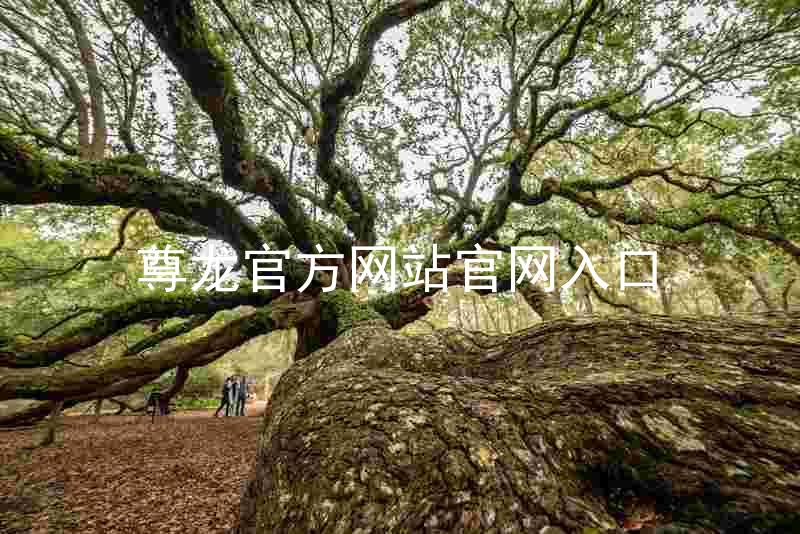尊龙官方网站官网入口